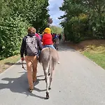 Massembre