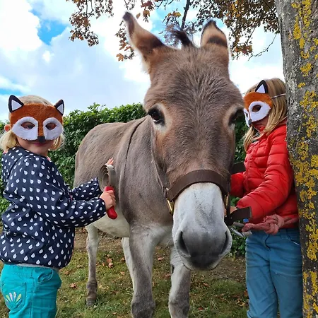 Massembre Hotel Heer